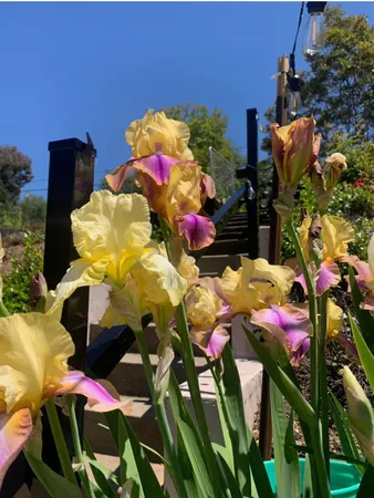 $549,000 | 2367 Ponderosa Road, Rescue, CA 95672