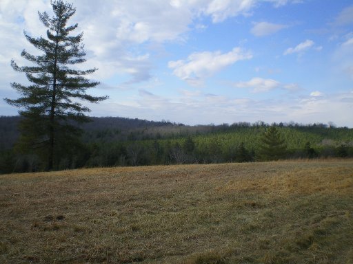 White Deer Lodge, TN 37726 - Photo 1 of 1 Primary Photo
