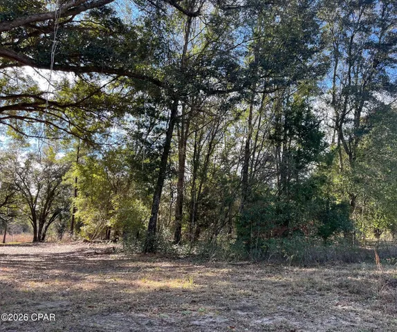 $89,000 | 0 Welcome Church Road, Sneads, FL 32460