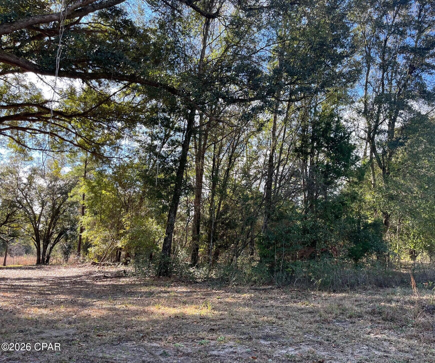 0 Welcome Church Road Sneads, FL 32460 - Photo 3 of 5