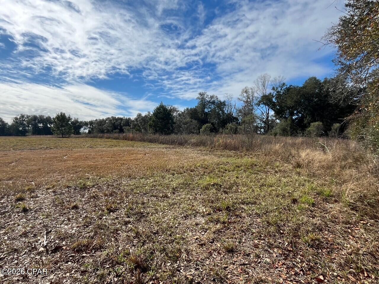0 Welcome Church Road Sneads, FL 32460 - Photo 5 of 5