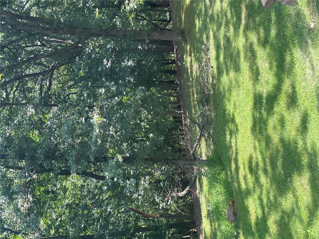 1191 Wood Summit Road Ellisville, MO 63021 - Photo 9 of 16