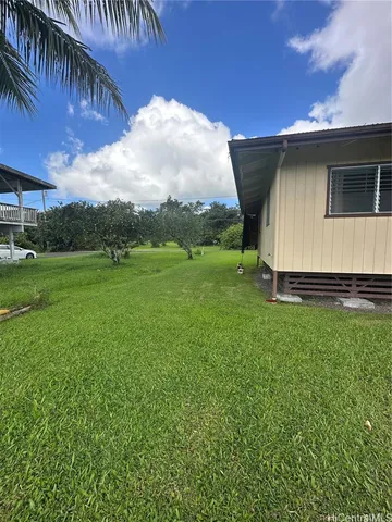 a view of a backyard with plants and a large tree
