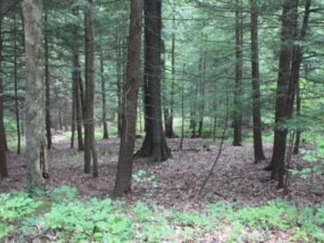 0 Kiel Hill Road Warren, PA 16365 - Photo 2 of 4 Gallery Image 2