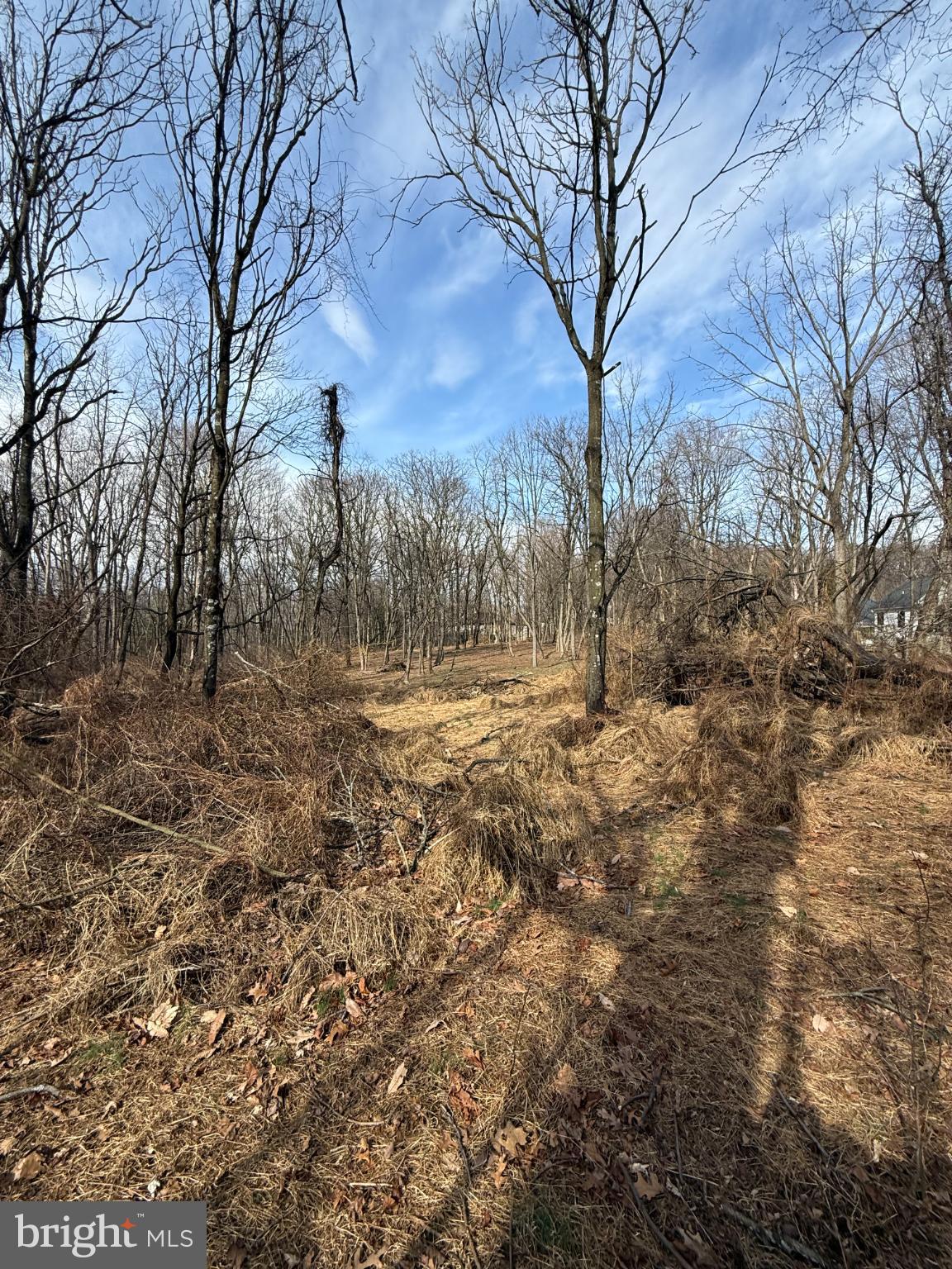 0 Sand Hill Road Hummelstown, PA 17036 - Photo 3 of 15 Serene woodland path under a blue sky.