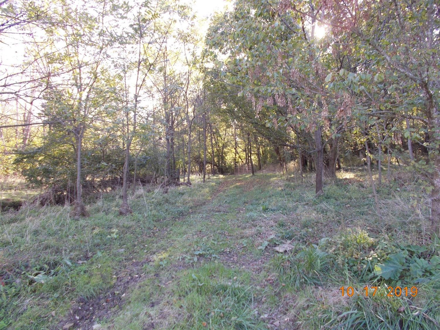 795 Springfield Road Sharpsburg, KY 40374 - Photo 4 of 23 Photo 4
