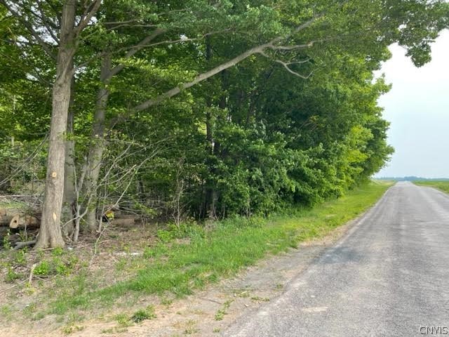 Harp Rd Road Canastota, NY 13032 - Photo 2 of 4