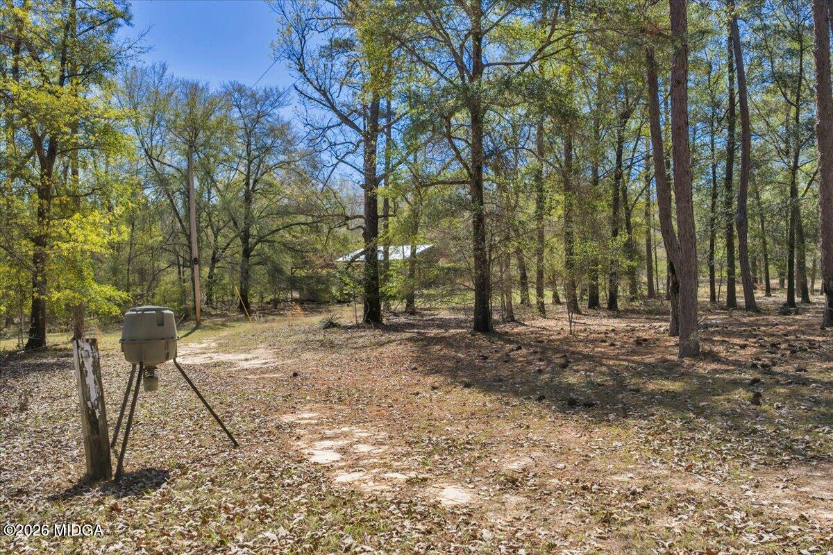 3601 Stuckey Road Danville, GA 31017 - Photo 71 of 77 72-DJI_20260318145409_0042_D_BOXSPRING