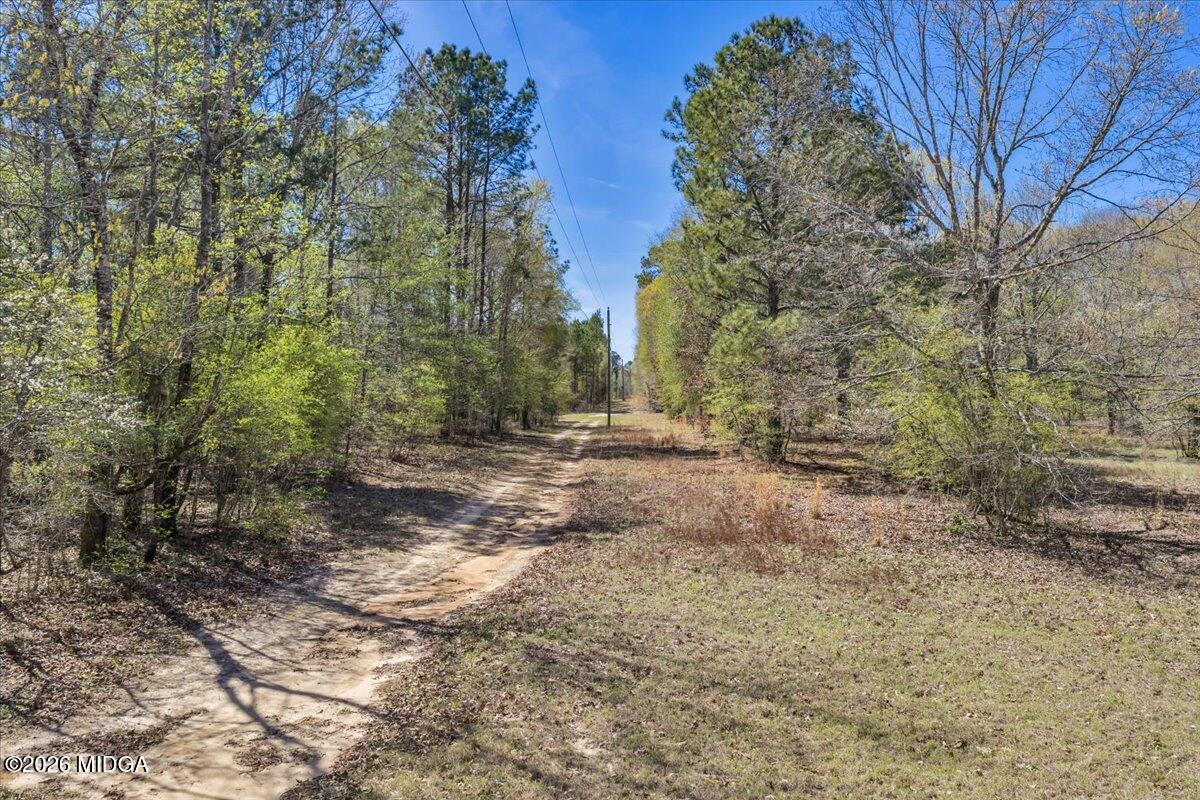 3601 Stuckey Road Danville, GA 31017 - Photo 74 of 77 75-DJI_20260318145513_0045_D_BOXSPRING
