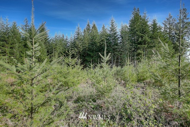5 Freeman Road Kalama, WA 98625 - Photo 3 of 16 Gallery Image 3