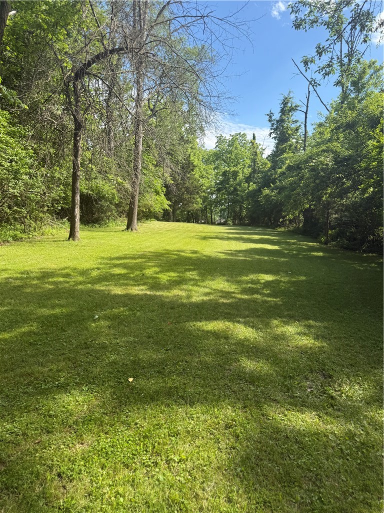 1529 West Ravina Park Road Decatur, IL 62526 - Photo 10 of 27