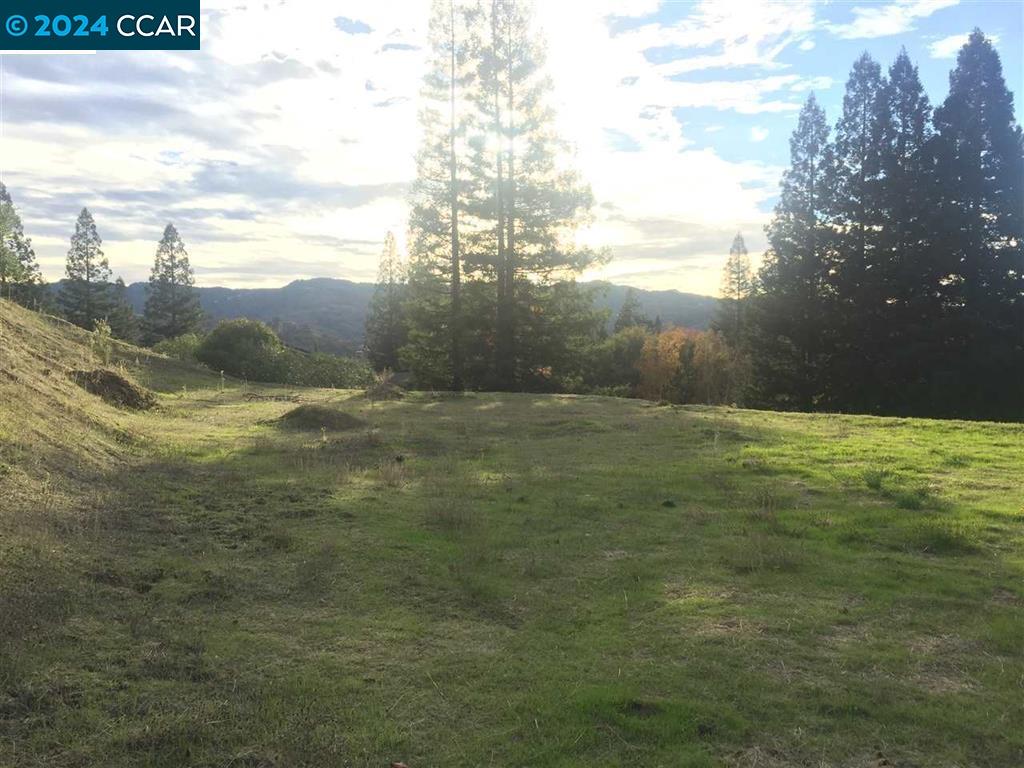 a view of a field with an ocean