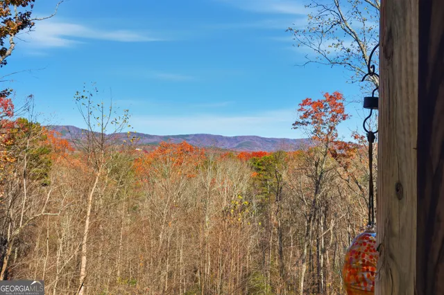 a view of a room with a lot of flower plants