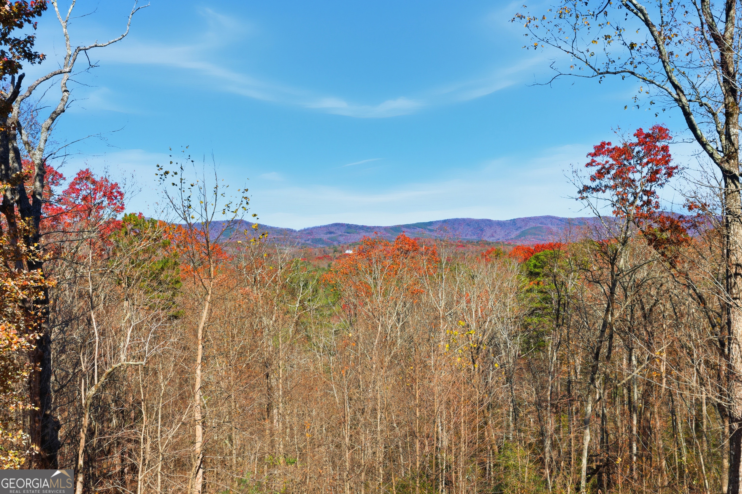 1947 Ivy Mountain Road Clarkesville, GA 30523 - Photo 2 of 48 a view of a houses with a yard