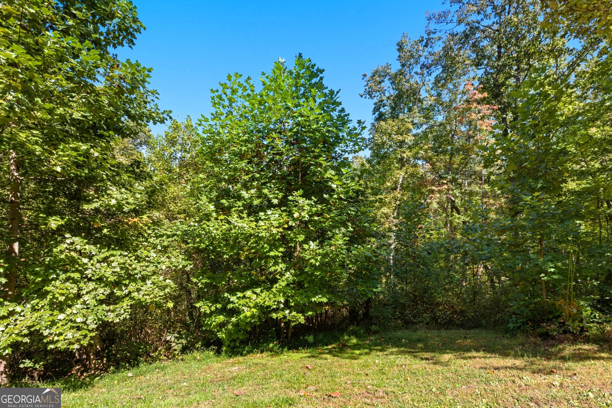 1947 Ivy Mountain Road Clarkesville, GA 30523 - Photo 34 of 48 a view of a yard
