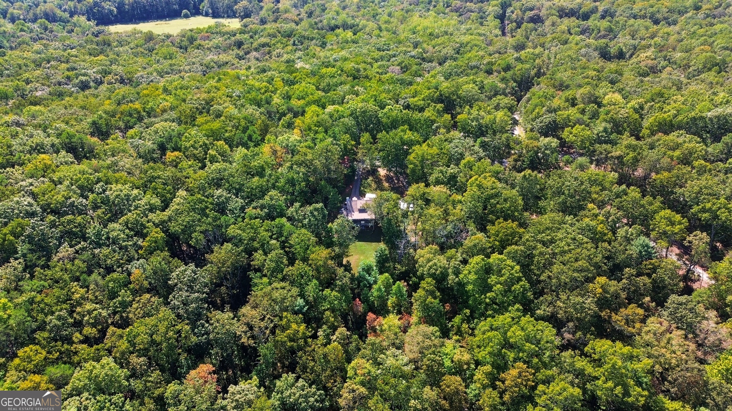 1947 Ivy Mountain Road Clarkesville, GA 30523 - Photo 38 of 48 a view of a house with a lush green forest