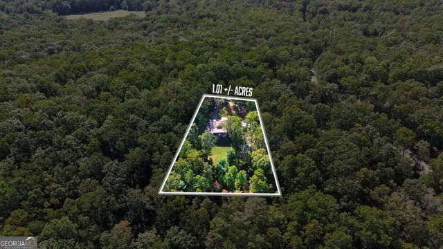 a view of a lush green field with lots of bushes
