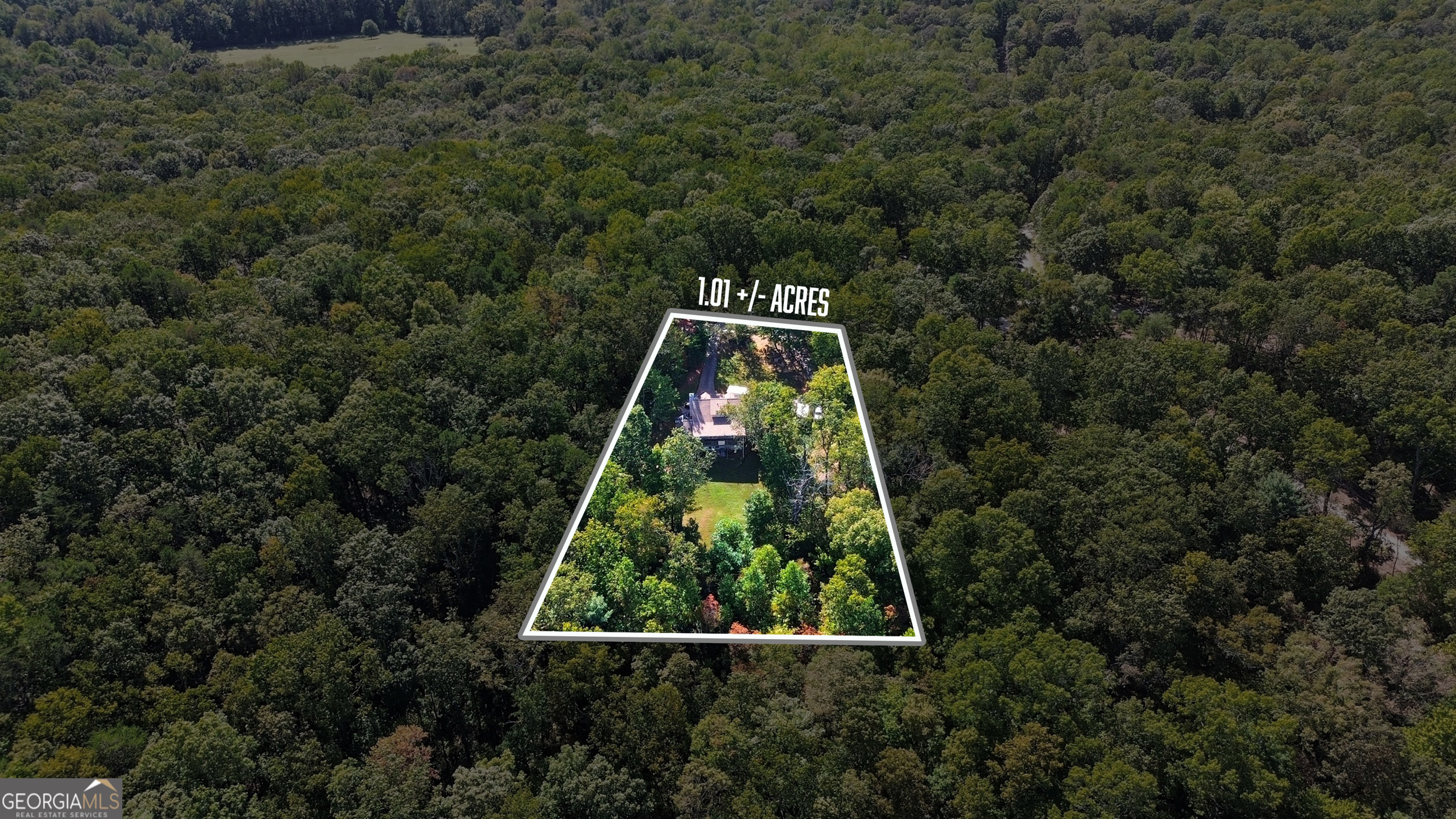 1947 Ivy Mountain Road Clarkesville, GA 30523 - Photo 39 of 48