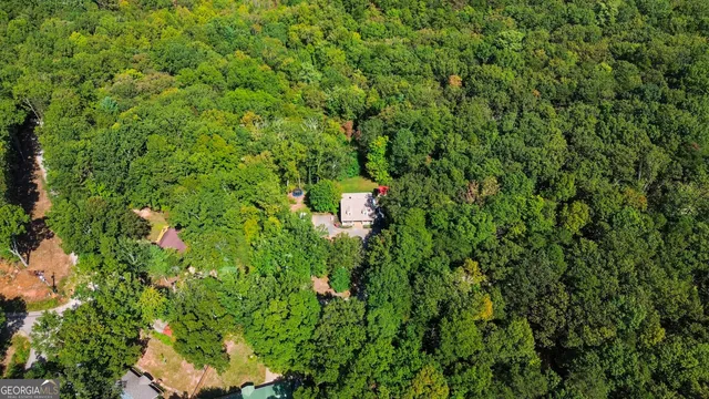a view of a lush green hillside and a houses