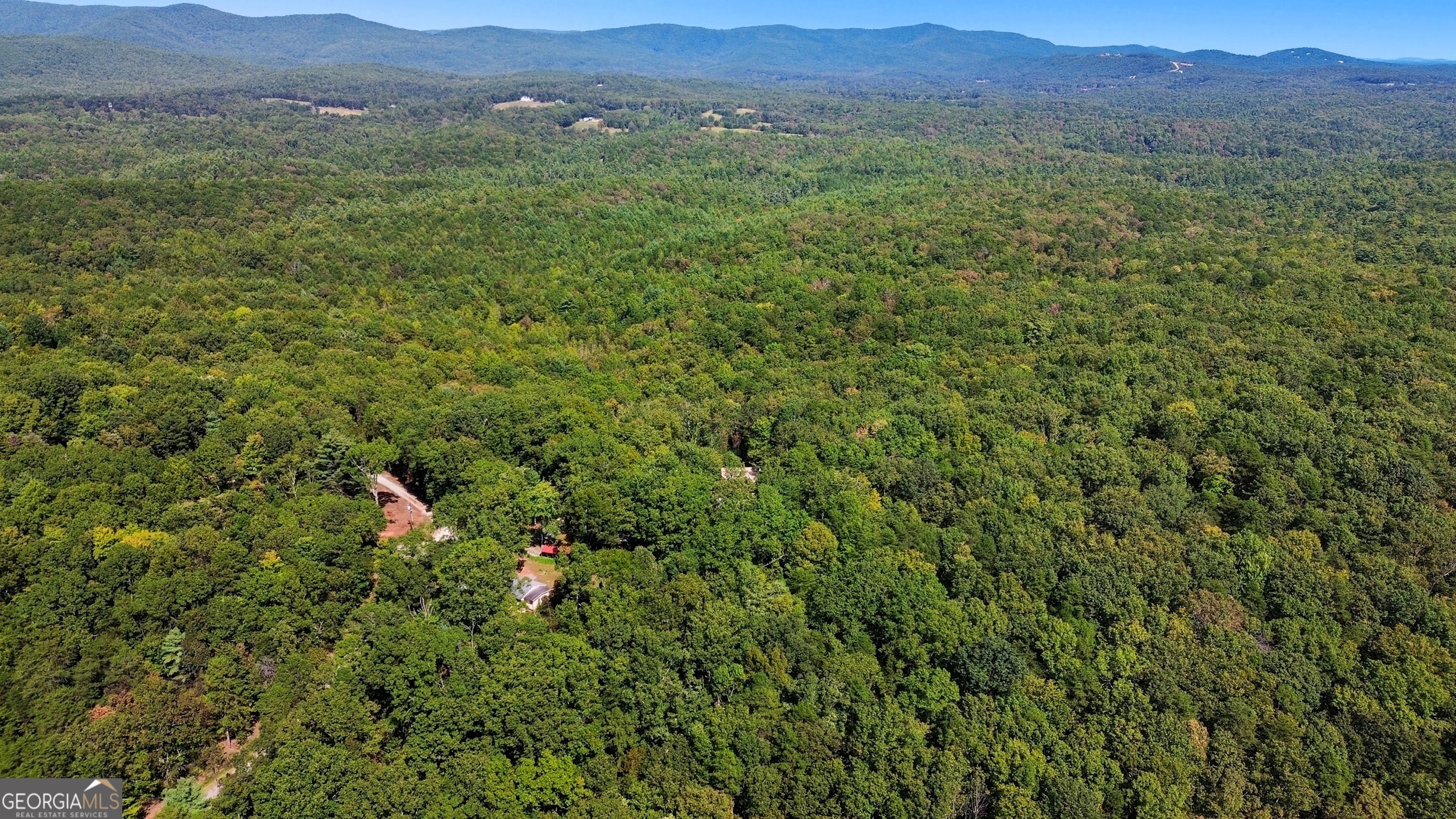 1947 Ivy Mountain Road Clarkesville, GA 30523 - Photo 42 of 48 a view of a lush green hillside and a houses