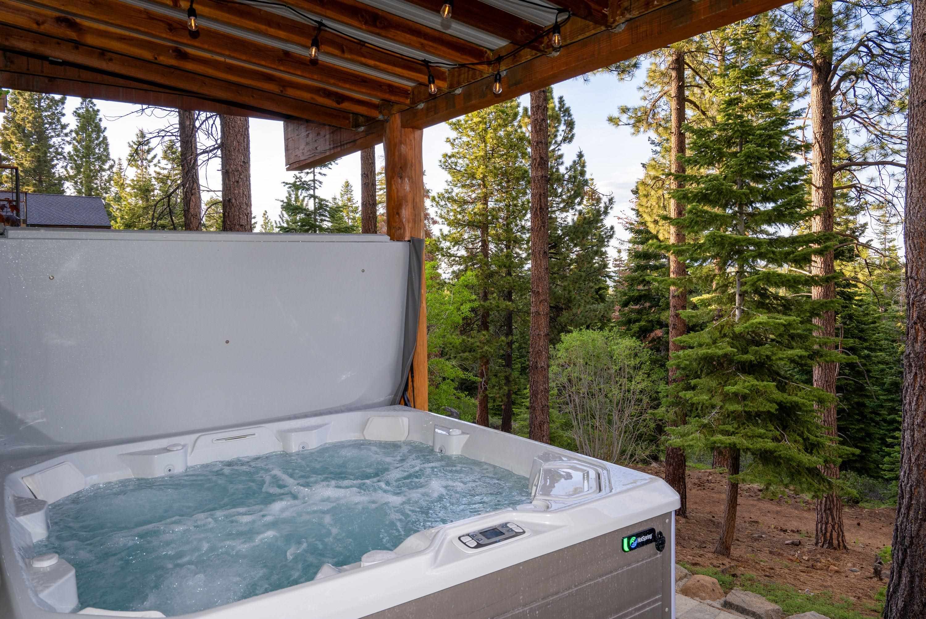 1723 Grouse Ridge Road Truckee, CA 96161 - Photo 26 of 27 a view of a backyard