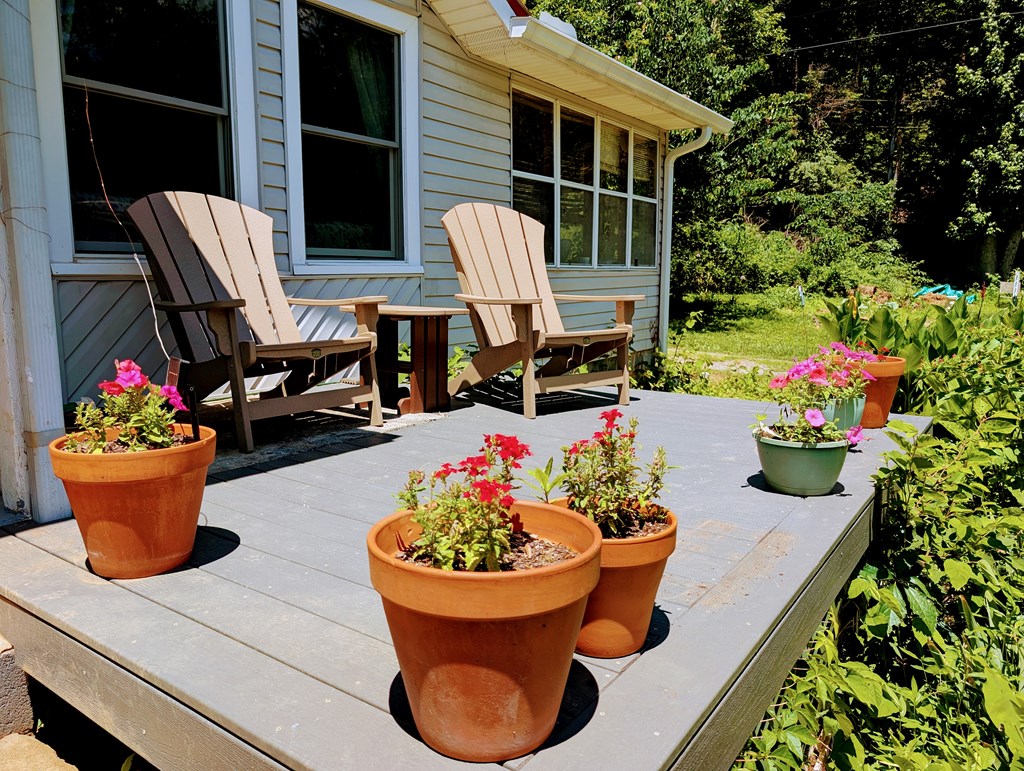 169 East Vineyard Road Hayesville, NC 28904 - Photo 5 of 61 Gallery Image 5