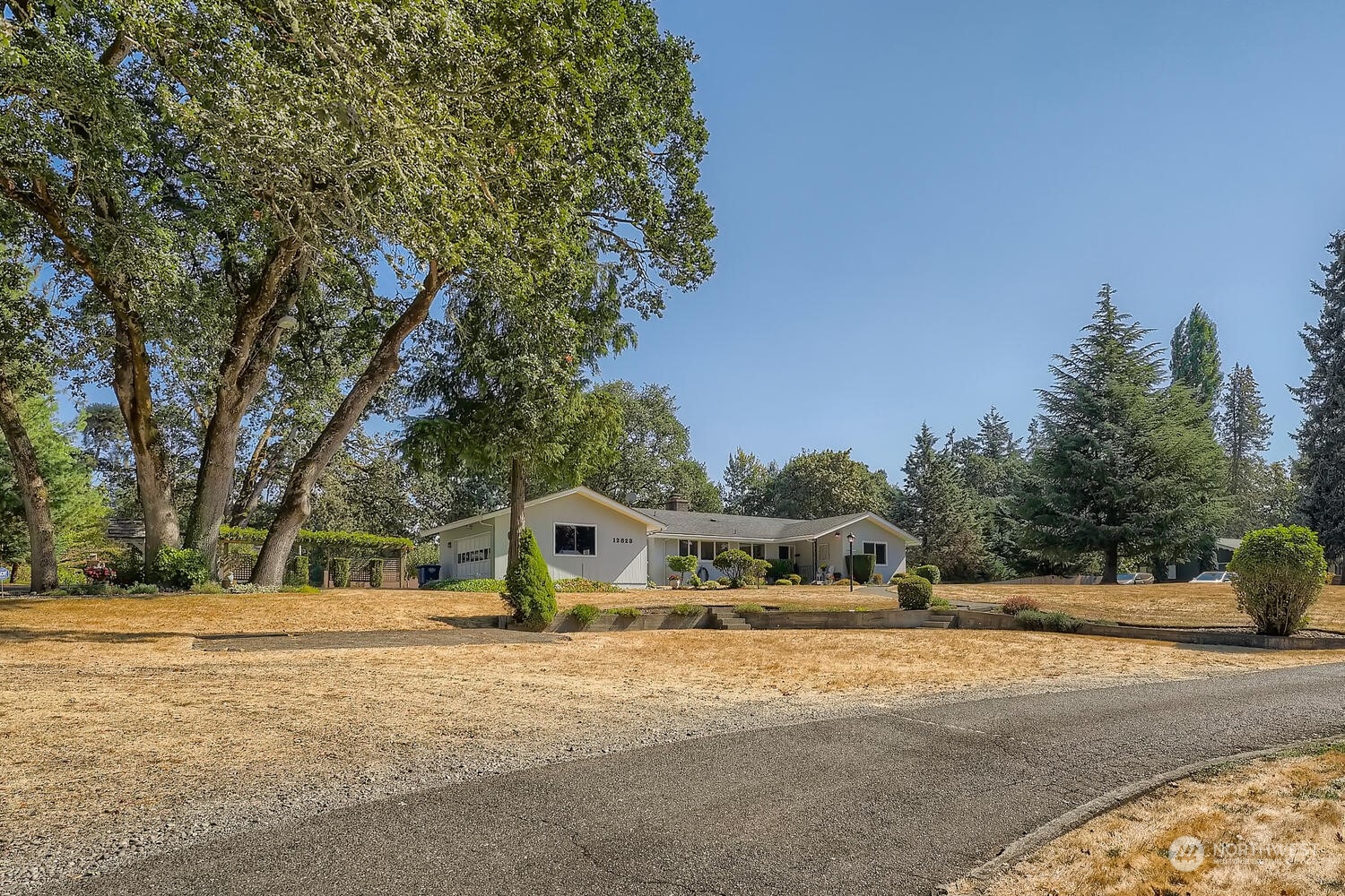 12823 Spanaway Loop Road South Tacoma, WA 98444 - Photo 2 of 38 a front view of a house with a yard and trees