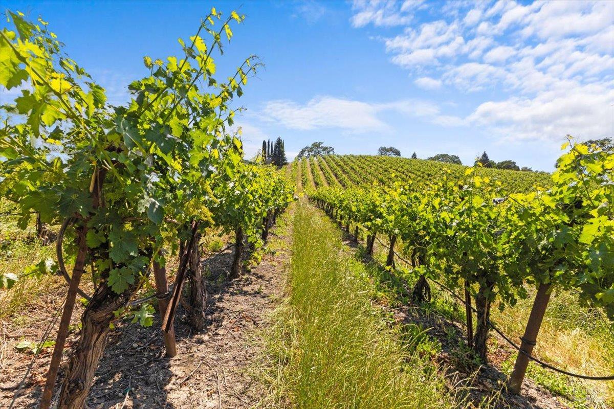 13404 Flora Ranch Road Healdsburg, CA 95448 - Photo 11 of 66