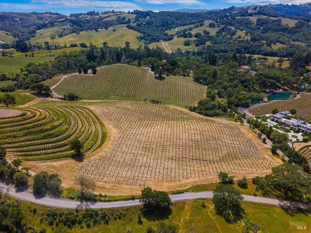 an aerial view of a house with a yard and lake view
