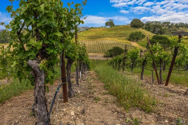 $4,500,000 | 13404 Flora Ranch Road, Healdsburg, CA 95448