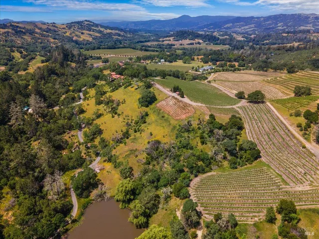 an aerial view of residential houses with outdoor space and trees