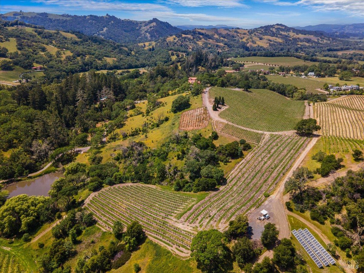 13404 Flora Ranch Road Healdsburg, CA 95448 - Photo 8 of 66