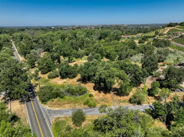 a view of a forest with a houses