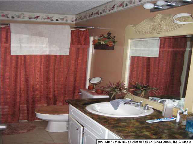 44119 Lake Village Road Prairieville, LA 70769 - Photo 6 of 7 Gallery Image 6