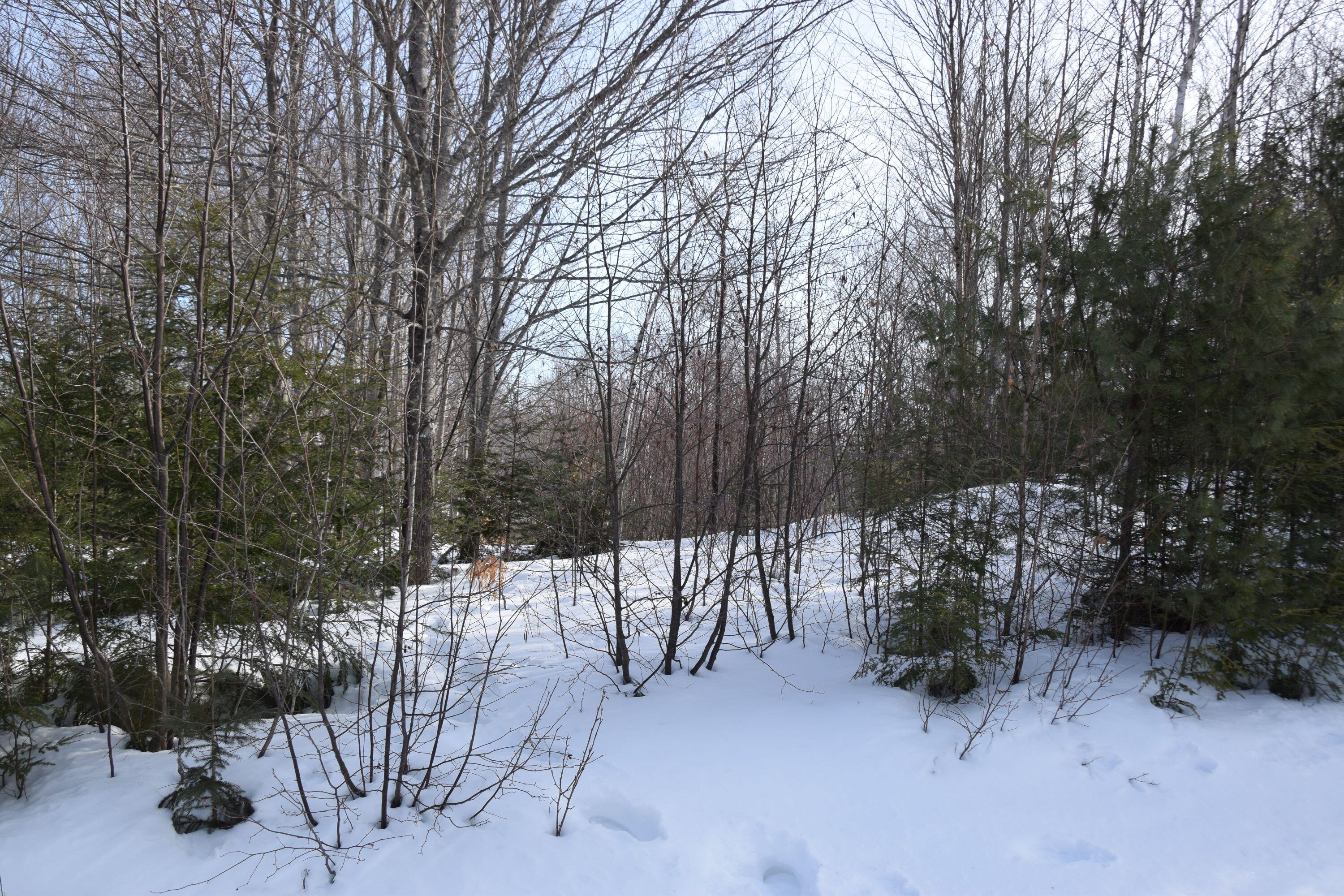 M7-l13-1 Pine Bluff Road Embden, ME 04958 - Photo 2 of 22