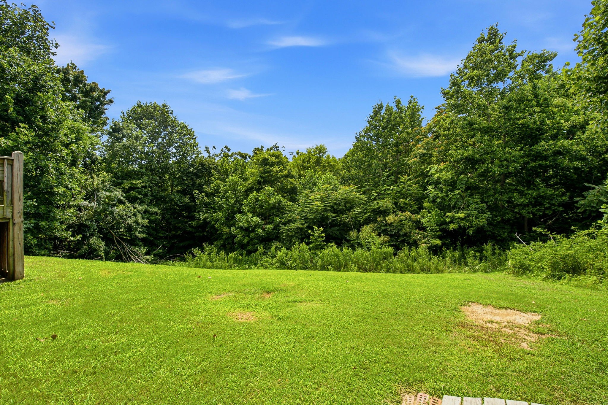 222 Hog Back Ridge Road Bethpage, TN 37022 - Photo 28 of 28 a view of a garden with a tree