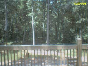 0 Bold Springs Road Royston, GA 30662 - Photo 4 of 5