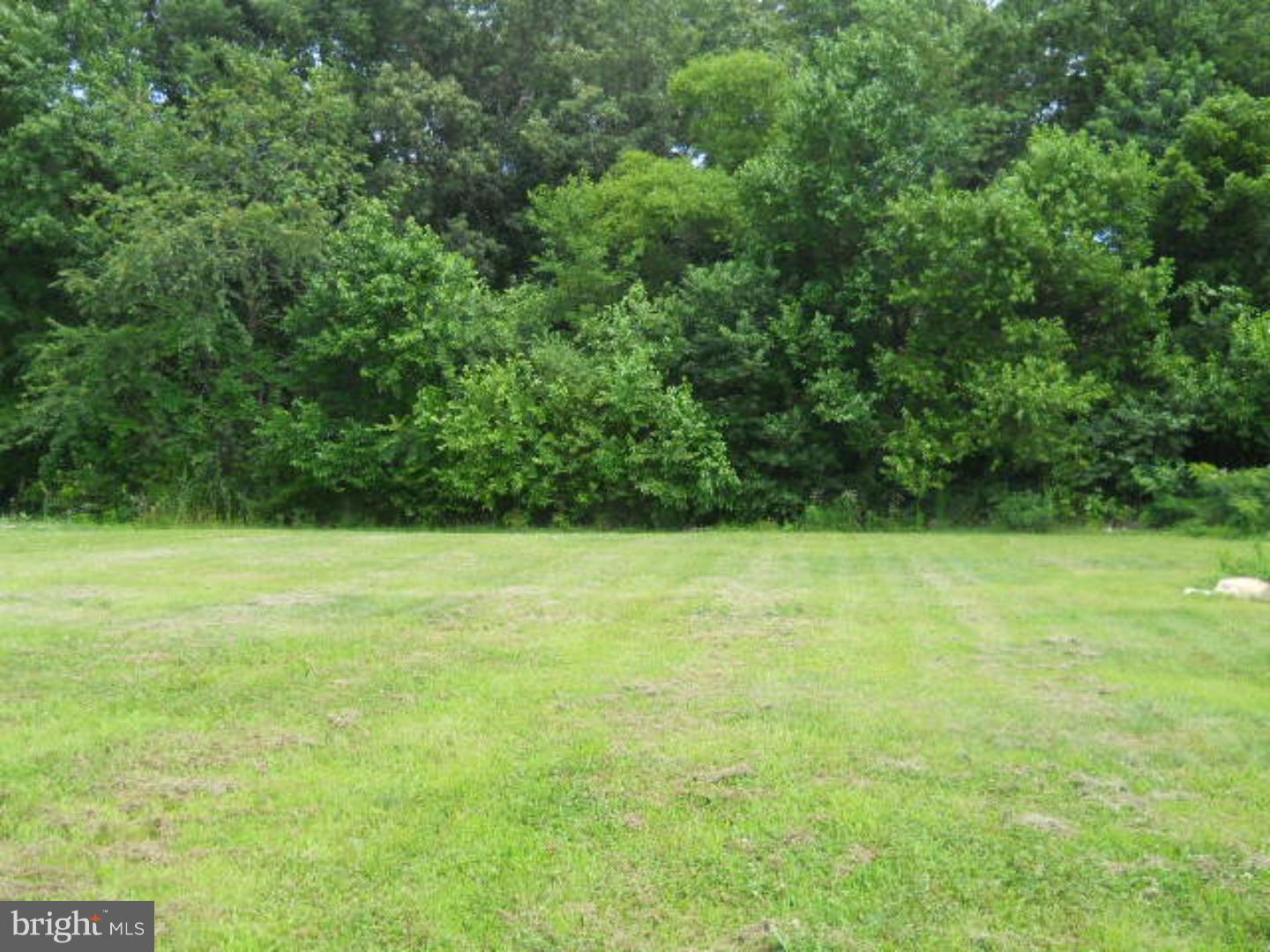 182 Gelden Road Felton, DE 19943 - Photo 4 of 25 Gallery Image 4