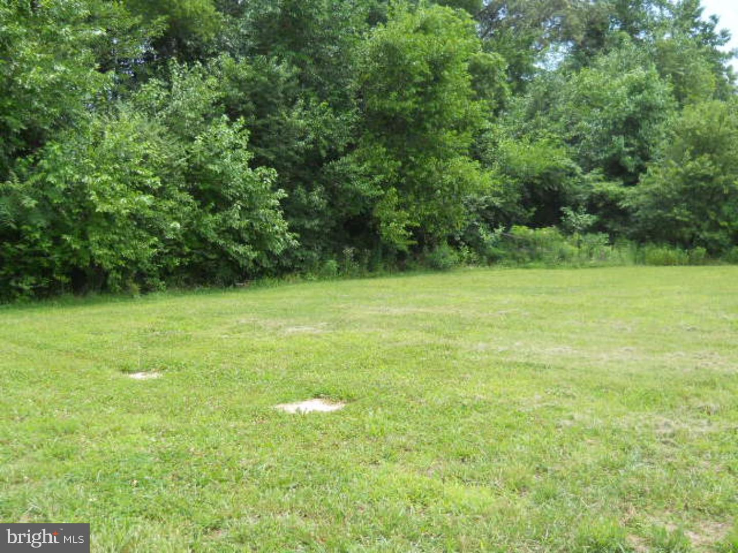 182 Gelden Road Felton, DE 19943 - Photo 5 of 25 Gallery Image 5