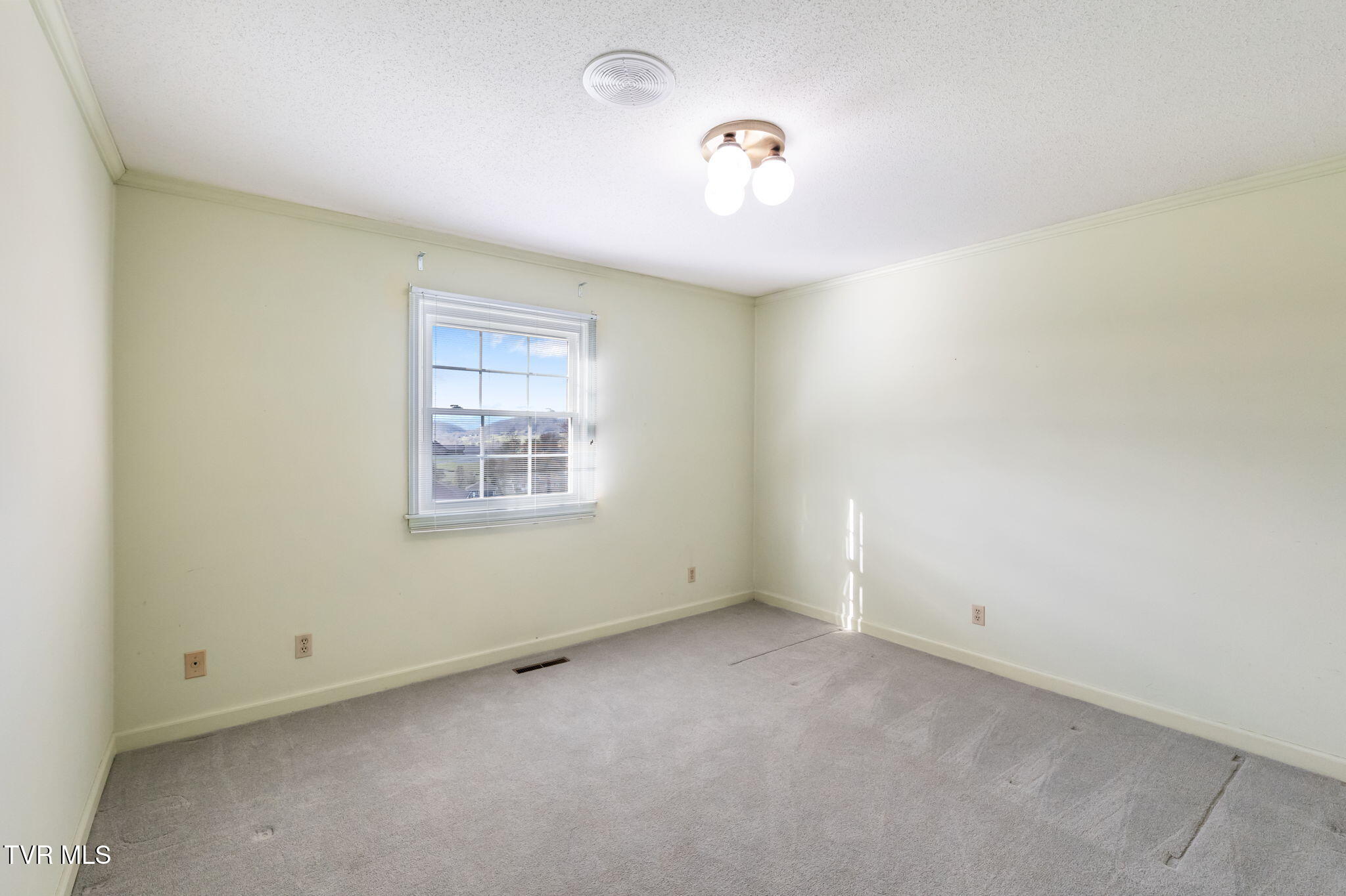12084 Tanglewood Drive Glade Spring, VA 24340 - Photo 87 of 111 91-web-or-mls-12084-tanglewood-dr