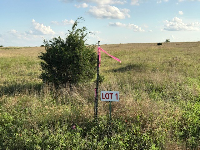 1 County Road, Unit 1 Briggs, TX 78608 - Photo 1 of 1 Main View