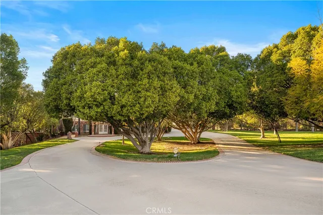 a park view with a fountain