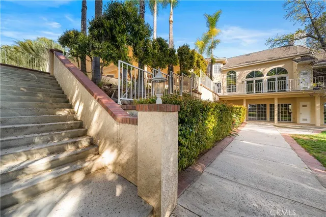 a view of road with large trees