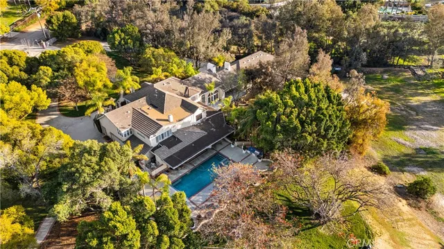 a view of a flower in a yard