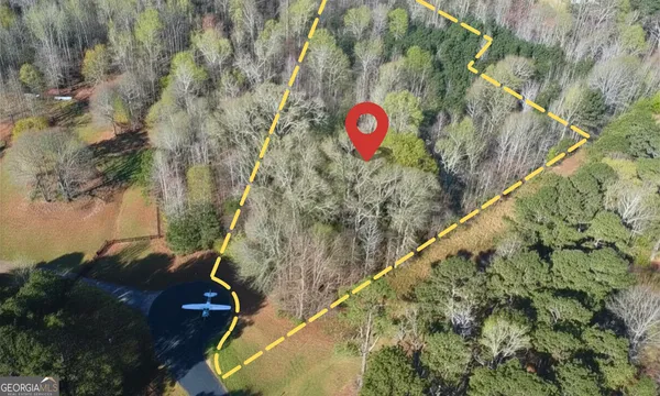 a view of a lush green forest with trees and some houses