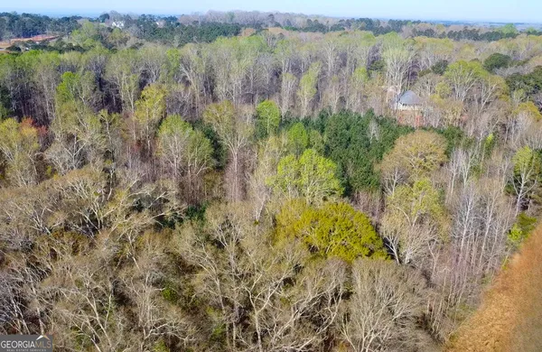 a view of a park with large trees