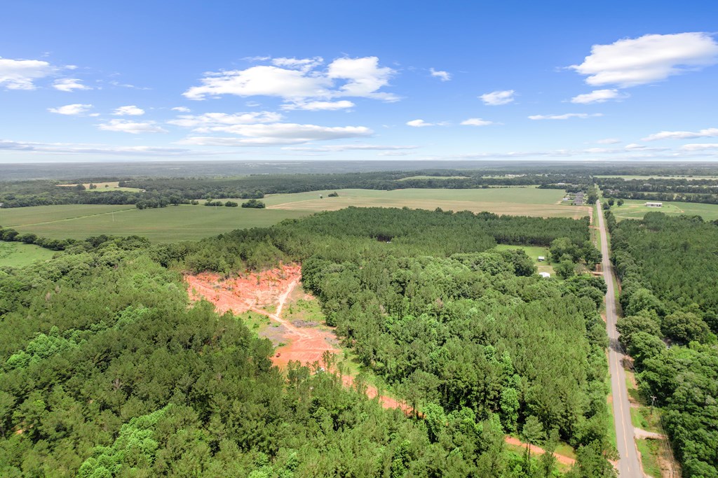 1600 Windmill Road Newton, AL 36352 - Photo 9 of 16