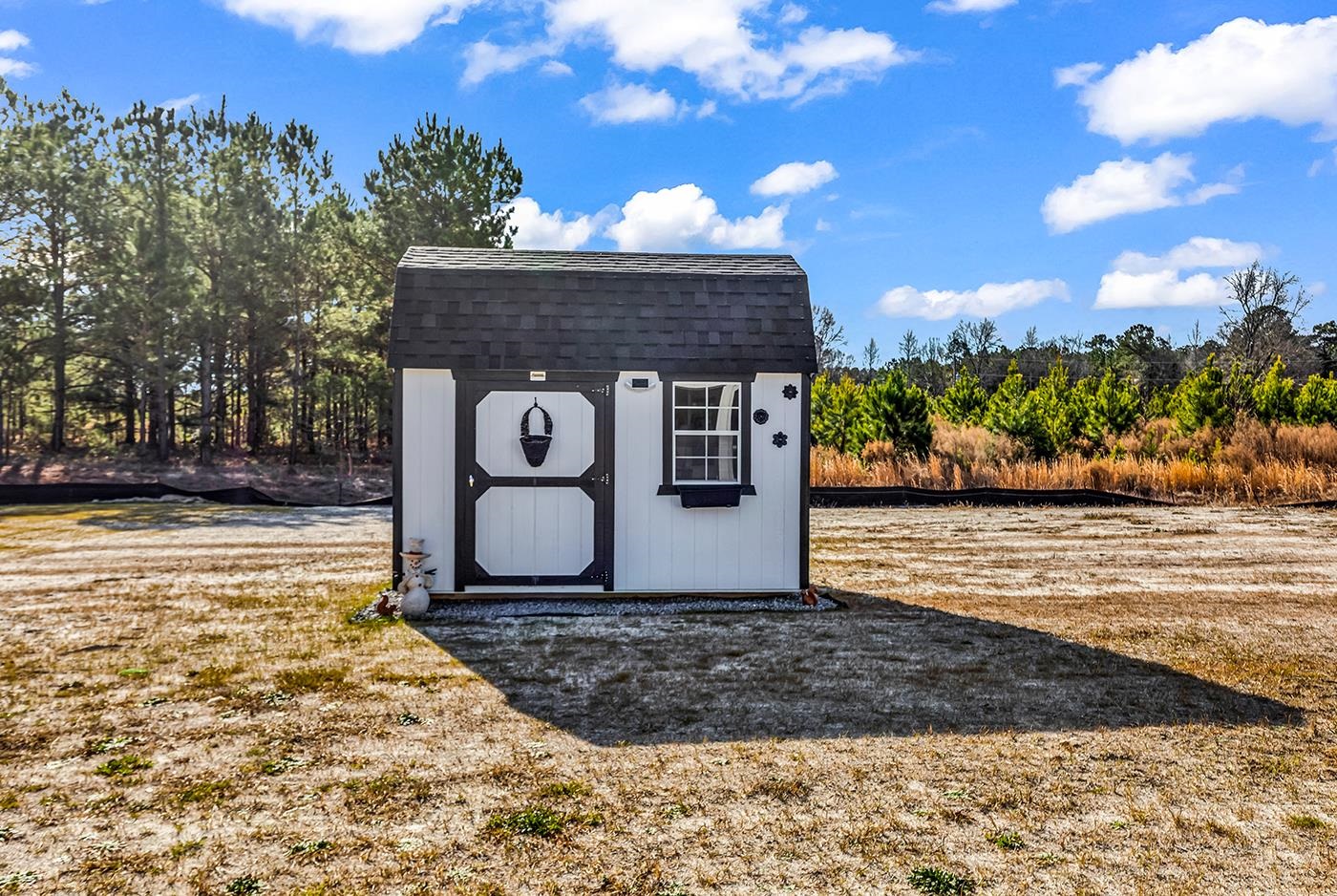 384 William Nobles Road Aynor, SC 29511 - Photo 34 of 38 View of shed