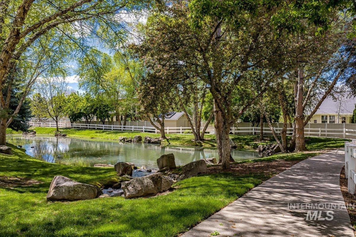 Pond feature surrounded by mature trees and manicured lawn