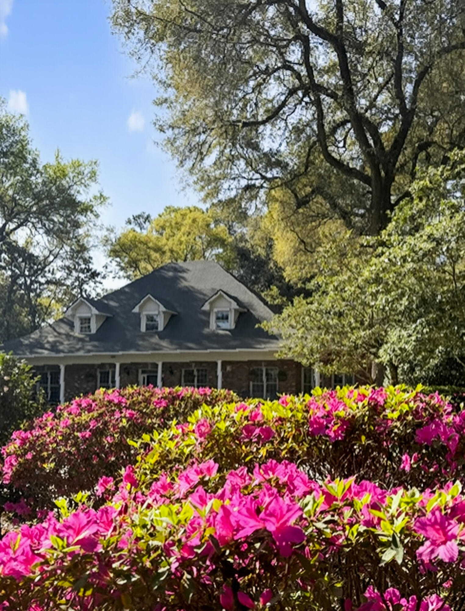 113 Tea Farm Road Summerville, SC 29483 - Photo 80 of 98 Gallery Image 80